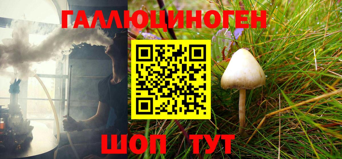 Псилоцибиновые грибы Magic Shrooms Чернушка