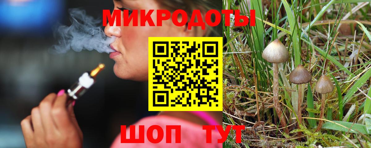 Чернушка  дарнет шоп  Вход с VPN  Галлюциногенные грибы MAGIC MUSHROOMS 