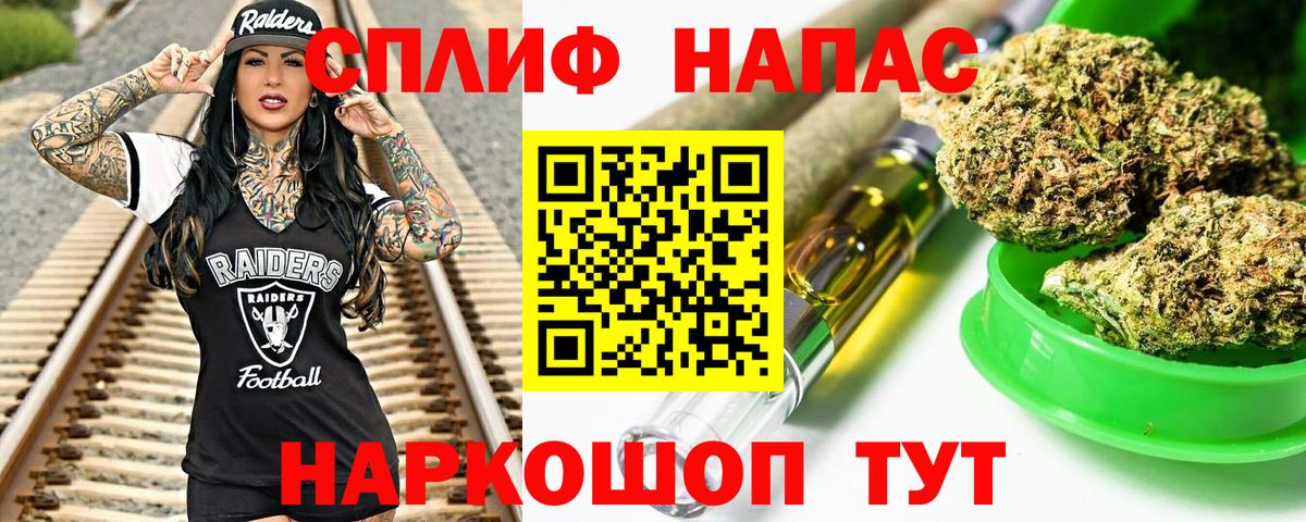 Канабис конопля Чернушка